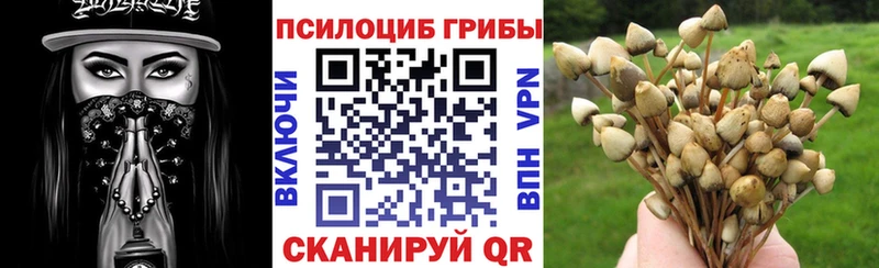 Галлюциногенные грибы ЛСД Духовщина